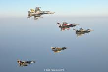 5 jets from 5 tiger squadrons.
