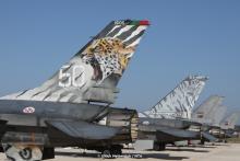 Jaguares of 301 Squadron / Monte Real came with 5 Jets