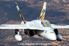 Closeup of Swiss F/A-18 Hornet from Staffel 11.