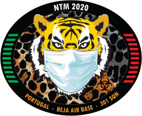 NTM2020 logo with mask